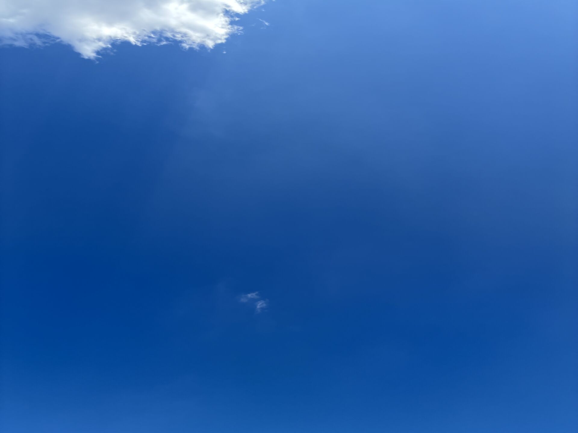 10/8晴